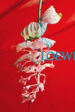 LOEWE_SS26_WW_SHOW_TEASER_sRGB_CROPPED_17_4x5