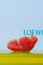 LOEWE_SS26_WW_SHOW_TEASER_sRGB_CROPPED_6_4x5