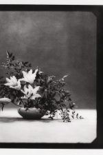 251106_ZARA_SOSHIOTSUKI_POLA_01_003