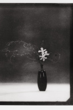 251106_ZARA_SOSHIOTSUKI_POLA_01_009