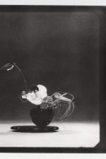 251106_ZARA_SOSHIOTSUKI_POLA_01_010