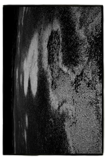 GYRE GALLERY｜「高木由利子写真展 chaoscosmos vol.2 – sakura – カオスコスモス弐 – 桜 -」
