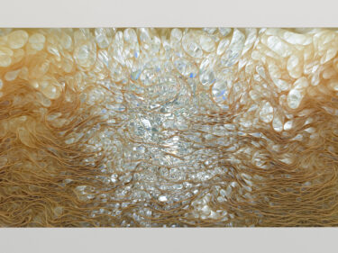 Pace gallery｜Tara Donovan Solo Exhibition