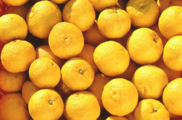 京都dddギャラリー｜梅原真展「 LOCAL LOCAL －ないものはない－」