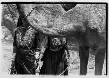 Bunkamuraザ・ミュージアム｜高木由利子 写真展「Threads of Beauty 1995-2025 ― 時をまとい、風をまとう。」