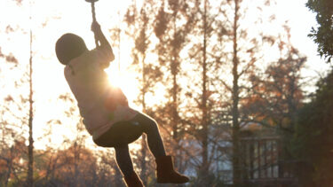 東京都写真美術館｜「TOPコレクション Don’t think. Feel.」