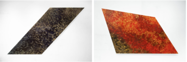 TOWA TAKAYA｜A solo exhibition “Descending to the Heights 2026” in the Shiro-shoin hall of Ninna-ji